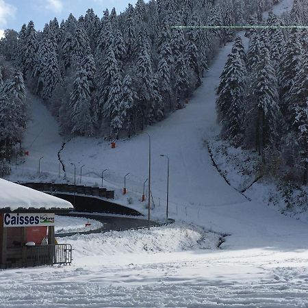 Le Lioran Studio les Myrtilles à 200m des pistes Exterior foto