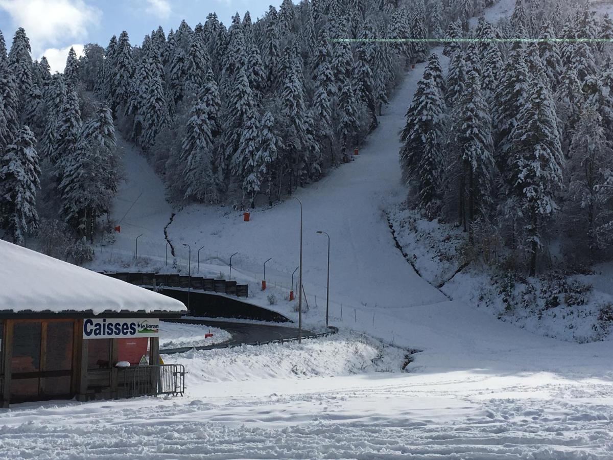 Le Lioran Studio les Myrtilles à 200m des pistes Exterior foto